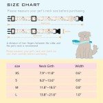 Designer Dog Collars for Female Dogs