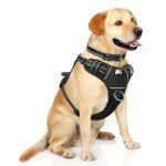 Reflective Dog Harness with Easy Control Handle