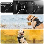 Reflective Dog Harness with Easy Control Handle