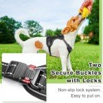 Reflective Dog Harness with Easy Control Handle