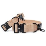 Premium Heavy Duty Dog Collar with Quick-Release Buckle