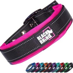 Ultra Soft Padded Dog Collar