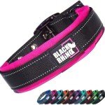Ultra Soft Padded Dog Collar