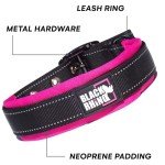 Ultra Soft Padded Dog Collar