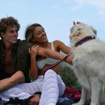 Ultra Soft Padded Dog Collar