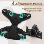 Reflective No-Pull Dog Harness