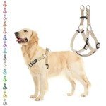 No Pull Puppy Harness with ID Tag