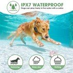 1600-ft Remote Dog Training Collar