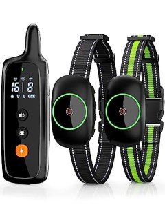 Rechargeable Dog Training Collars for 2 Dogs