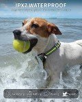 Rechargeable Dog Training Collars for 2 Dogs