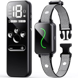 Waterproof Dog Training Collar with Remote