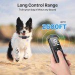 Waterproof Dog Training Collar with Remote