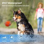 Waterproof Dog Training Collar with Remote