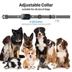 Waterproof Dog Training Collar with Remote