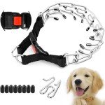 Supet Adjustable Dog Training Collar with Buckle