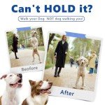 Supet Adjustable Dog Training Collar with Buckle