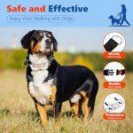 Supet Adjustable Dog Training Collar with Buckle