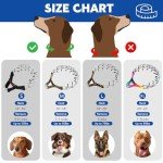 Supet Adjustable Dog Training Collar with Buckle