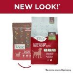 Nature's Logic Beef Meal for Dogs