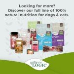 Nature's Logic Beef Meal for Dogs