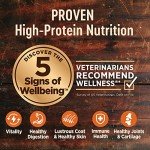 Wellness CORE Grain-Free High-Protein Dog Food, 12lb
