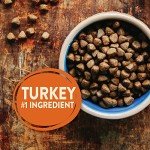 Wellness CORE Grain-Free High-Protein Dog Food, 12lb