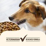 Nutrish Real Beef & Brown Rice Dog Food 40 lb