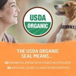 Beyond Purina Organic Chicken & Carrot Dog Food