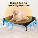Veehoo Cooling Elevated Dog Bed with Bolster