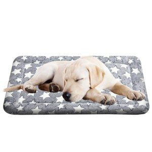 Plush Medium Dog Beds for Travel - Grey Star
