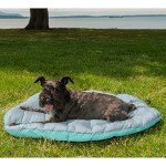 Furhaven Foldable Travel Dog Bed for Small Dogs