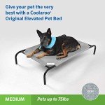 COOLAROO Original Elevated Dog Bed, Medium, Grey