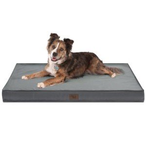 Orthopedic Waterproof Dog Bed for Large Dogs