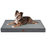 Orthopedic Waterproof Dog Bed for Large Dogs
