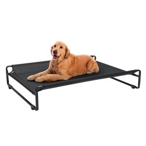 Large Black Cooling Elevated Dog Bed for Outdoor Use