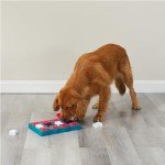 Outward Hound Dog Brick Puzzle Toy - Level 2