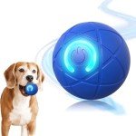 Automatic Interactive Rolling Ball for Dogs