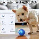 Automatic Interactive Rolling Ball for Dogs