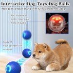 Automatic Interactive Rolling Ball for Dogs