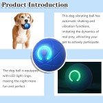 Automatic Interactive Rolling Ball for Dogs