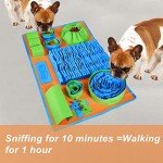 Interactive Snuffle Mat for Dogs - Fun Puzzle Toy