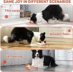 Automatic Moving Dog Ball Toy for All Sizes