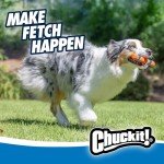 Chuckit! Ultra Fetch Stick Dog Toy - 12 Inch