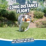 Chuckit! Ultra Fetch Stick Dog Toy - 12 Inch