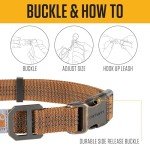 Carhartt Tradesman Medium Dog Collar - Brown