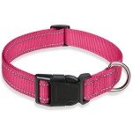 Adjustable Pink Reflective Dog Collar for All Sizes