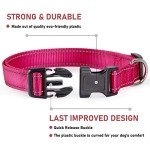 Adjustable Pink Reflective Dog Collar for All Sizes