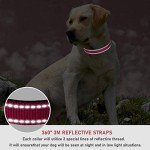 Adjustable Pink Reflective Dog Collar for All Sizes