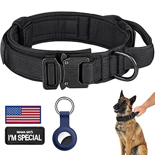 Training Collars