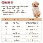 Adjustable Pink Reflective Dog Collar for All Sizes